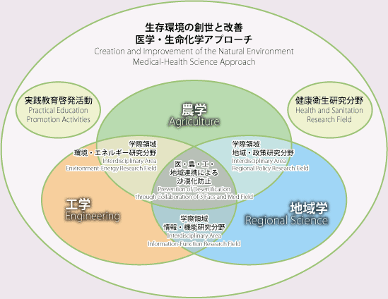 International Strategy Conceptual Scheme