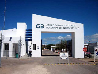 メキシコ北西部生物学研究センター