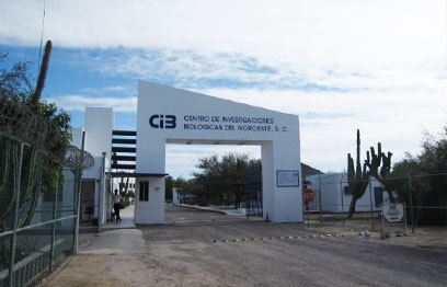 メキシコ北西部生物研究センター