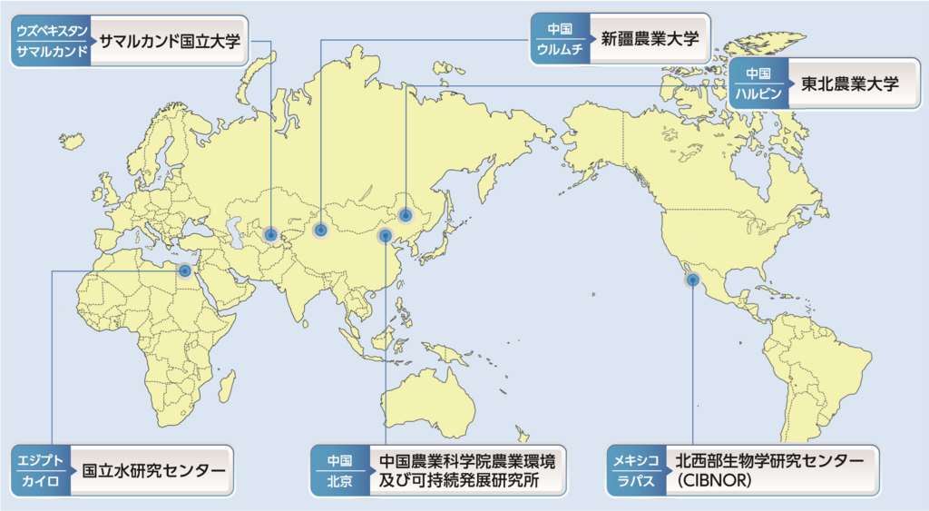 海外拠点オフィスマップ
